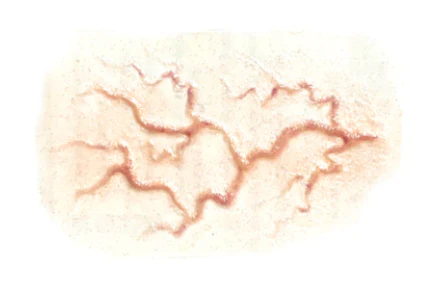 3D FX Transfers  "Veins" - Image 4