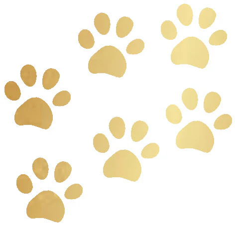6 Golden Paws Tattoos - Image 2