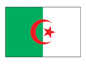 Algeria Flag Tattoo