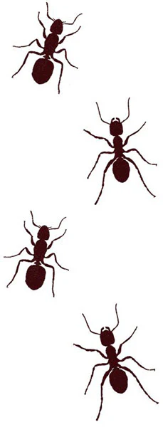 Ants - Tattoonie (4 tattoos) - Image 2