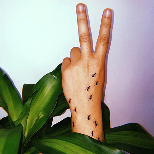 Ants - Tattoonie (4 tattoos) - Image 3