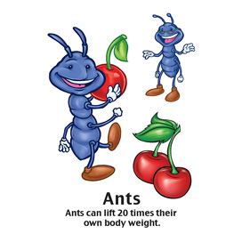 Ants Tattoos
