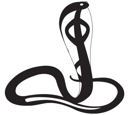 Black Cobra Tattoo