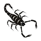 Black Scorpion Tattoo