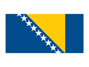 Bosnia Herzegovina Flag Tattoo