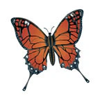 Brown Butterfly Tattoo