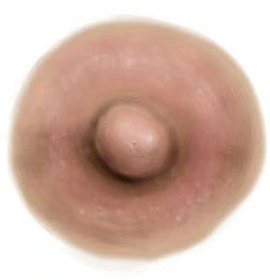 Brownish Pink Nipple Temporary Tattoo (M)