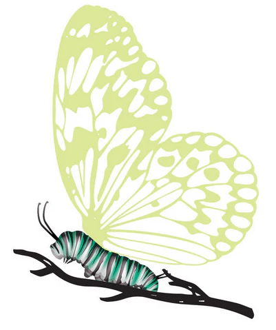 Caterpillar with Reveal Glow-in-the-Dark Butterfly Temporary Tattoo