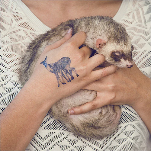 Cervatillo Veloz - Tattoonie - Image 2