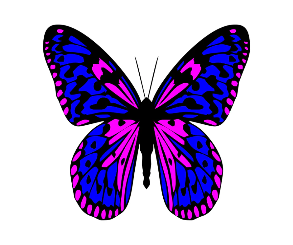 Cute Butterfly Tattoo