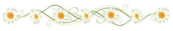 Daisy Vine Jewelry Band Tattoo