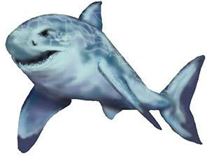 Dangerous Shark Tattoo