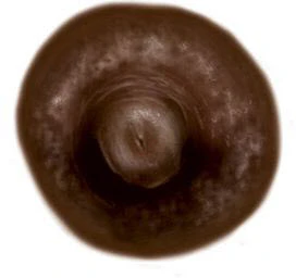 Dark Brown Nipple Temporary Tattoo (S)