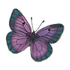 Deep Purple Butterfly Tattoo