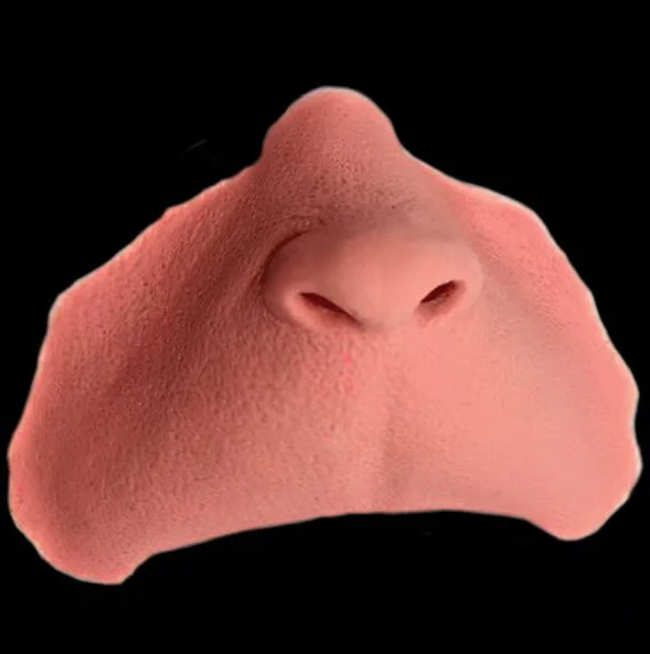 Elf Latex Nose - Tinsley Transfers - Image 2