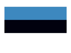 Estonia Flag Tattoo