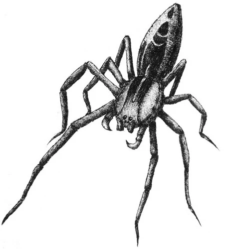 Fright Spider Tattoo
