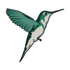 Hummingbird Tattoo