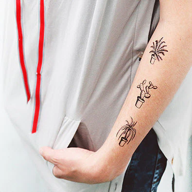 Indoor Plants - Tattoonie - Image 2
