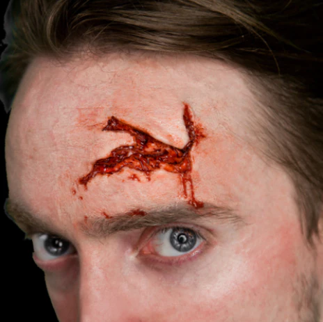 3D FX Transfers "Head Wound"