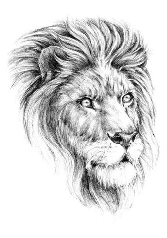 Large Realistic Lion Temporary Tattoo - Image 2
