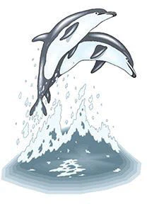 Leaping Dolphins Tattoo