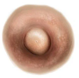Light Brown Nipple Temporary Tattoo (S)