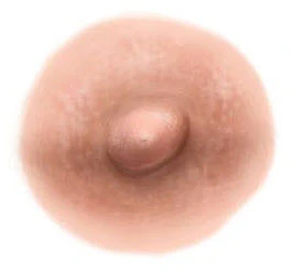 Light Tan Nipple Temporary Tattoo (S)