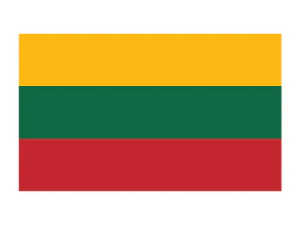 Lithuania Flag Tattoo
