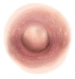 Medium Pink Nipple Temporary Tattoo (L)