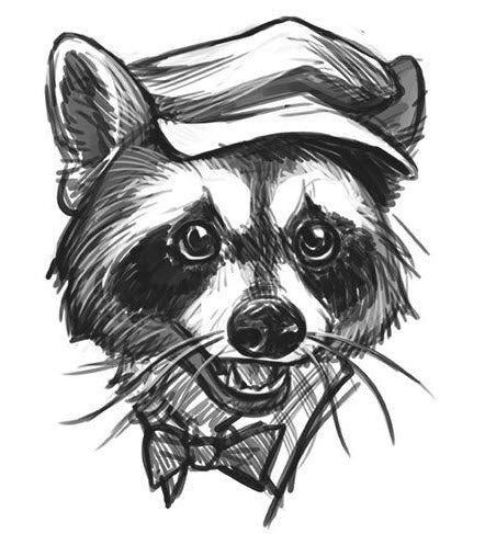 Newsie Raccoon Black Tattoo