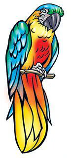 Parrot On Branch Tattoo