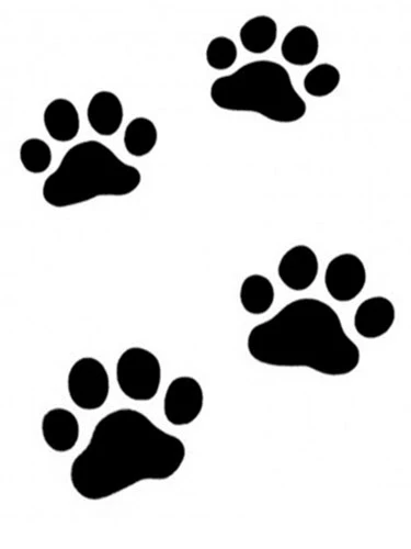 Paws Stencil For Tattoo Spray