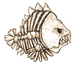 Piranha Skeleton Tattoo