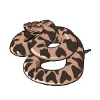 Rattlesnake Tattoo