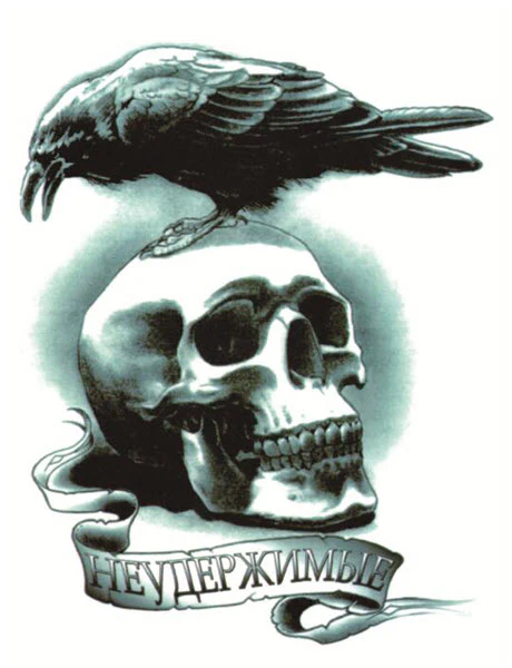 Raven & Skull Tattoo