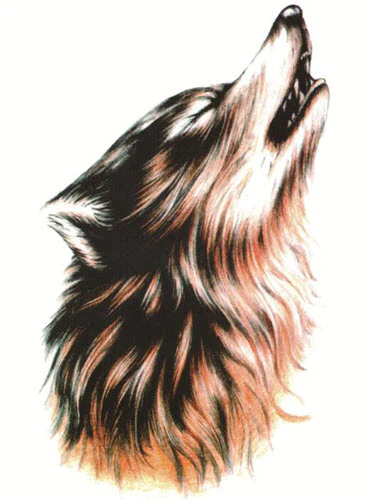 Realistic Howling Wolf Tattoo - Image 2