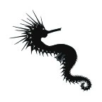Seahorse Tattoo