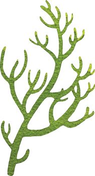 Seaweed Tattoo