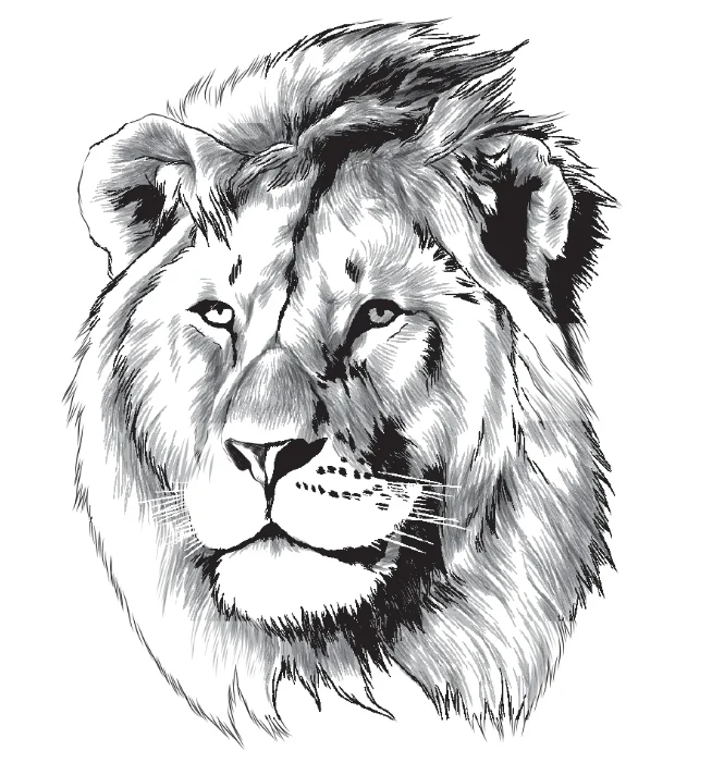 Semi-Permanent Tattoo - Lion - Image 2