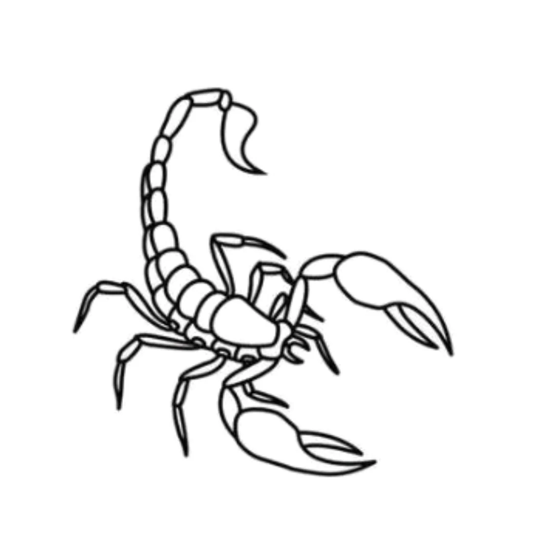 Semi-Permanent Tattoo - Scorpio - Image 2
