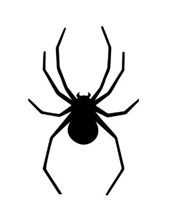 Semi-permanent Tattoo - Spider