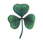 Shamrock Tattoo