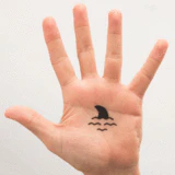 Shark Black - Tattoonie - Image 3