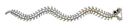Skeleton Armband Tattoo