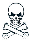 Skull & Bones - Glow Tattoo