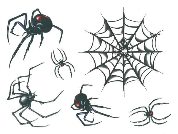 Spiders Multi Tattoos (6 Tattoos) - Image 2