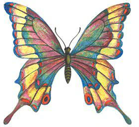 Stained Glass Butterfly Tattoo