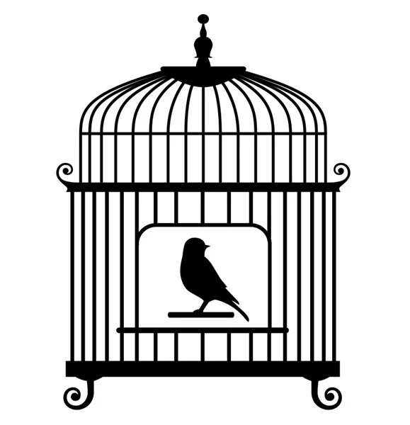 Strepik Bird Tattoo - Image 2