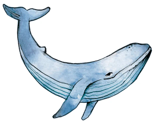 Tale Whale - Tattoonie